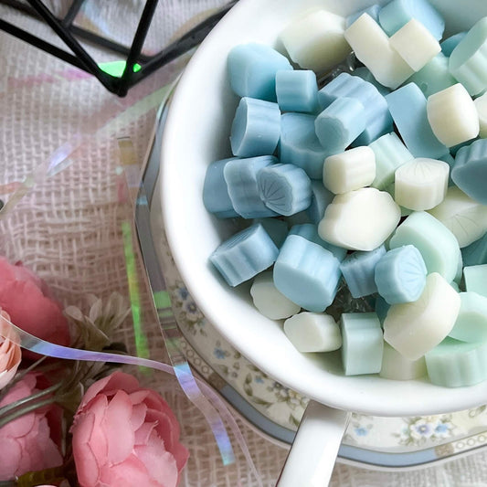 SeaSpray - Shell wax melts
